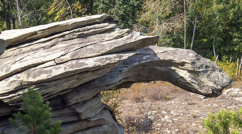 Скала Черепаха в Карагайском бору привлекает к себе внимание удивительной формой. В этом месте есть еще несколько интересных творений природы